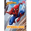 Pysselbok Spider-Man med klistermärken, Kärnan