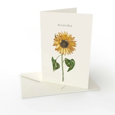 Kort dubbelt med kuvert Solstråle 1-pack Gullers