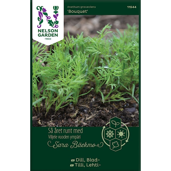 Dill, Blad-, Bouquet