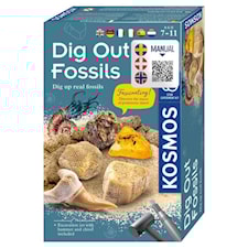 Dig Out Fossils Experimentlåda STEM Kosmos (Nordic)