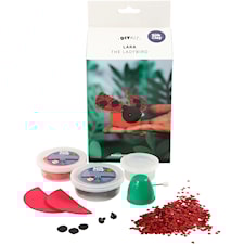 Lara the ladybug, 1 set