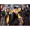 Pussel Harry Potter 1000 bitar,  Educa