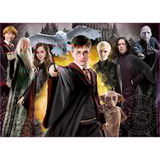 Pussel Harry Potter 1000 bitar,  Educa