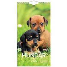 Väggkalender 2026 Liten Hundkalender 120x230 mm Burde