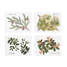 Julkort set om 8 Winter Foliage