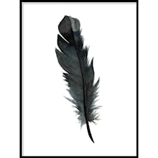 Black feather Poster30x40cm