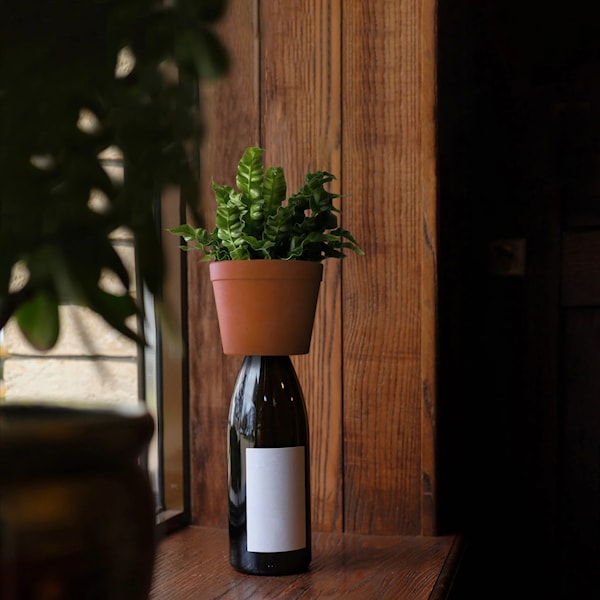 Bottle Planter Kikkerland