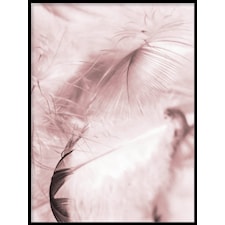 Pink feathers One Poster30x40cm