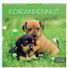 Seinäkalenteri 2026 Koiranpennut 160x160 mm Burde
