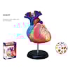 Human Anatomy Heart Anatomihjärta 4D Master