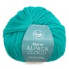 Alpaca Cloud 50 g Adlibris