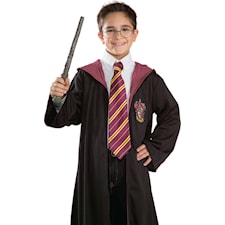 Harry Potters Slips