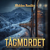 Adventskalender Tågmordet, Hidden Reality (SE)