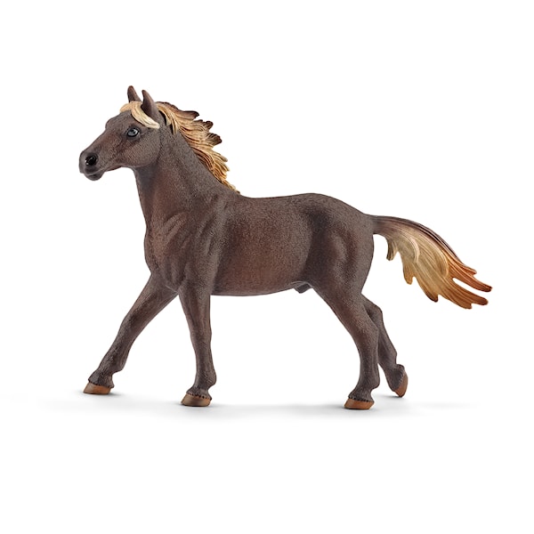Häst Mustanghingst Schleich - figurer & miniatyrer Häst Mustanghingst Schleich - figurer & miniatyrer