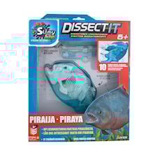Dissect It Piraya Experimentset