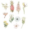 Washistickers Blommor 25-60 mm 30-pack