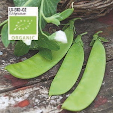 Ärt, Socker-, Norli, låg, Organic