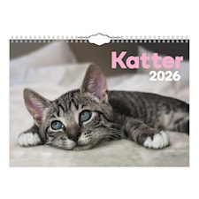 Väggkalender Katter Small 2026
