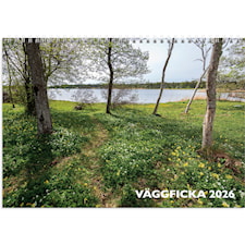 Väggkalender 2026 Väggficka 250x176 mm Burde