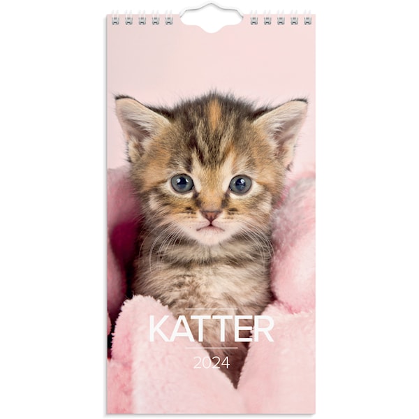 Väggkalender 2024 Liten Kattkalender Burde