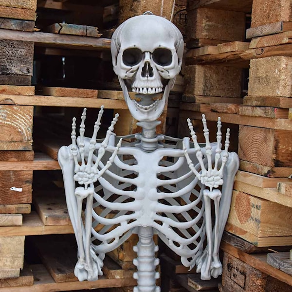 Skjelett, Full Størrelse - 170 cm