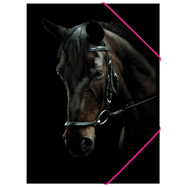 Black Beauty Gummibandsmapp Sense