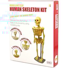Mänskligt skelett, Modellera kit, Keycraft